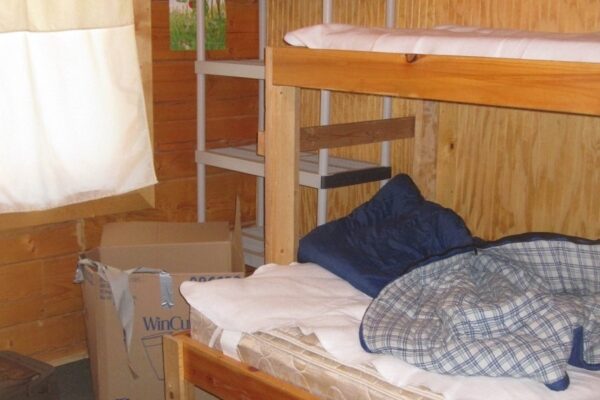 LogCabin_8 Large